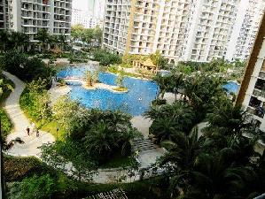 三亞住宅租房市場 房產租賃趨勢與物業管理要點解析