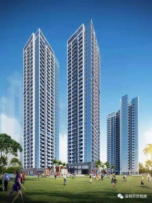 深圳非居住房地產租賃市場最新動態 售樓處聯系方式與租賃詳情解析