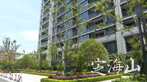 房票政策與物業管理 一場權益的轉移與責任的銜接